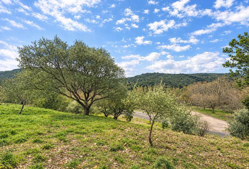 Vente Terrain Roquebrun - -910 m² - (34460)