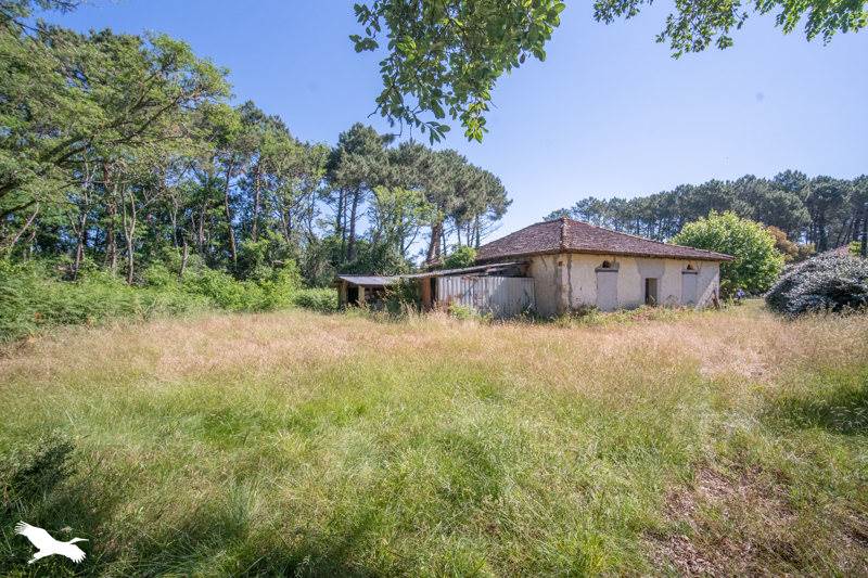 Vente Maison SOUSTONS - 4 pièces -176 m² - (40140)