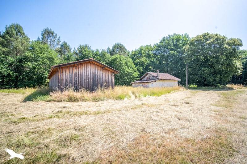 Vente Maison Azur - 3 pièces -84 m² - (40140)