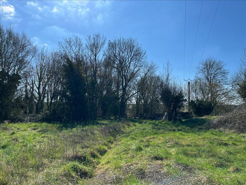 Vente Terrain PONT L ABBE D ARNOULT 17250  1740 m²