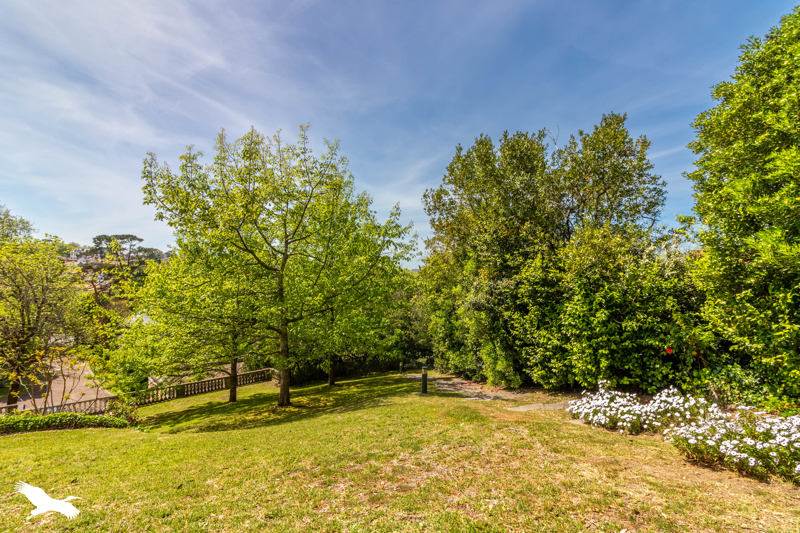 Vente Appartement BIARRITZ - 2 pièces -35 m² - (64200)