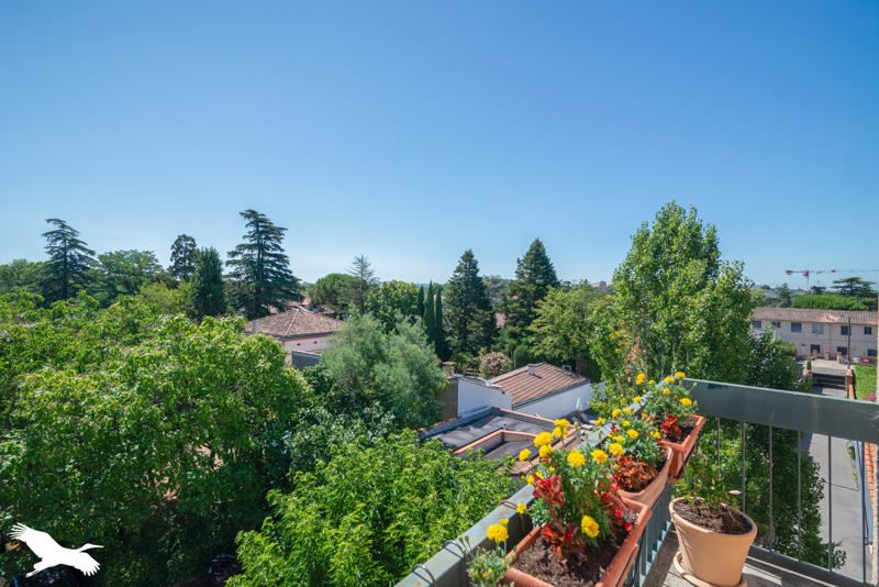 Appartement Blagnac