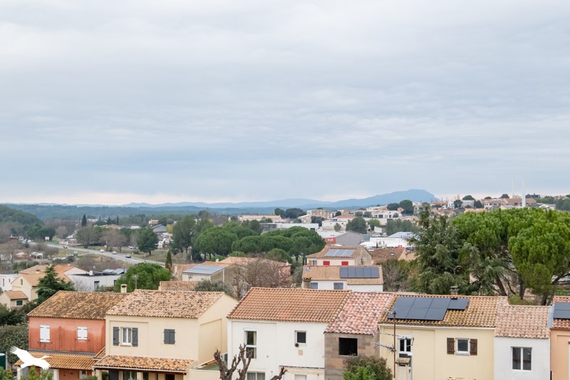 Vente Maison LE CRES - 4 pièces -91 m² - (34920)