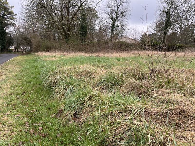 Vente Maison SERS - 4 pièces -95 m² - (16410)