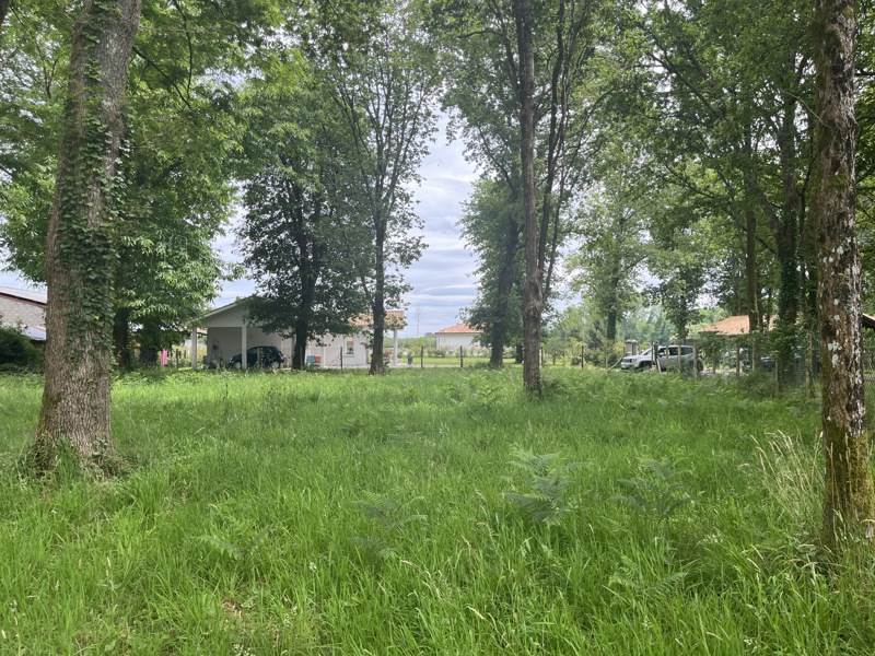 Vente Terrain TALLER - -1500 m² - (40260)