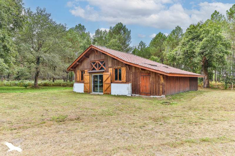 Vente Maison CASTETS - 9 pièces -270 m² - (40260)