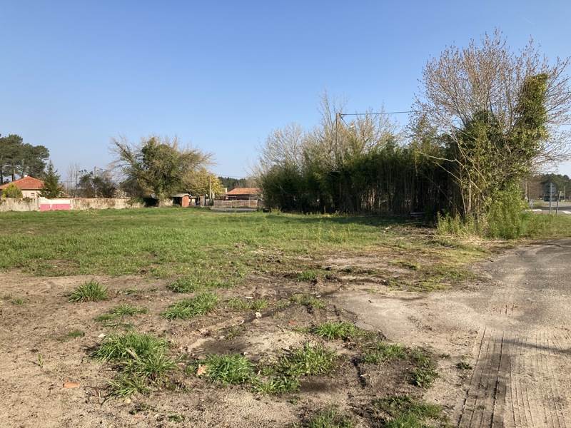 Vente Terrain LESPERON - -2372 m² - (40260)
