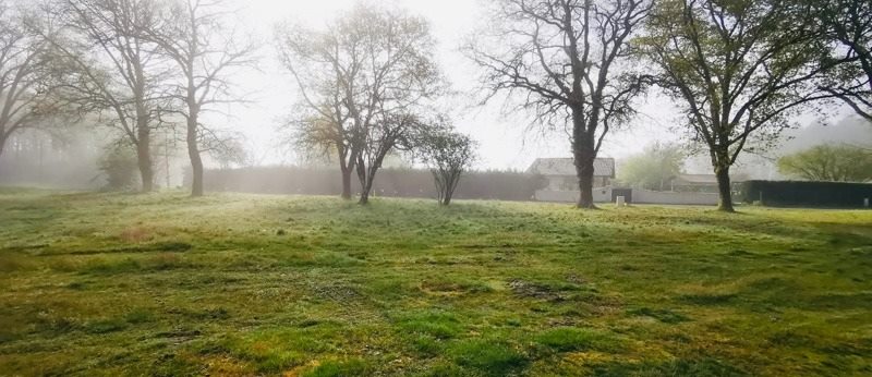 Vente Terrain TALLER - -1681 m² - (40260)