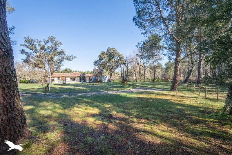 Vente Maison LEVIGNACQ - 5 pièces -177 m² - (40170)