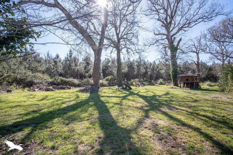 Vente Maison UZA - 6 pièces -170 m² - (40170)