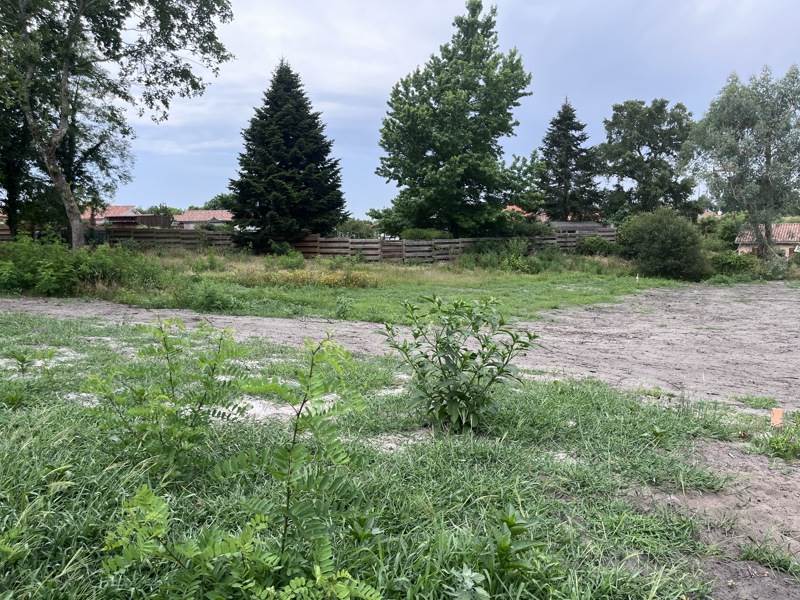 Vente Terrain CASTETS 40260  1183 m²