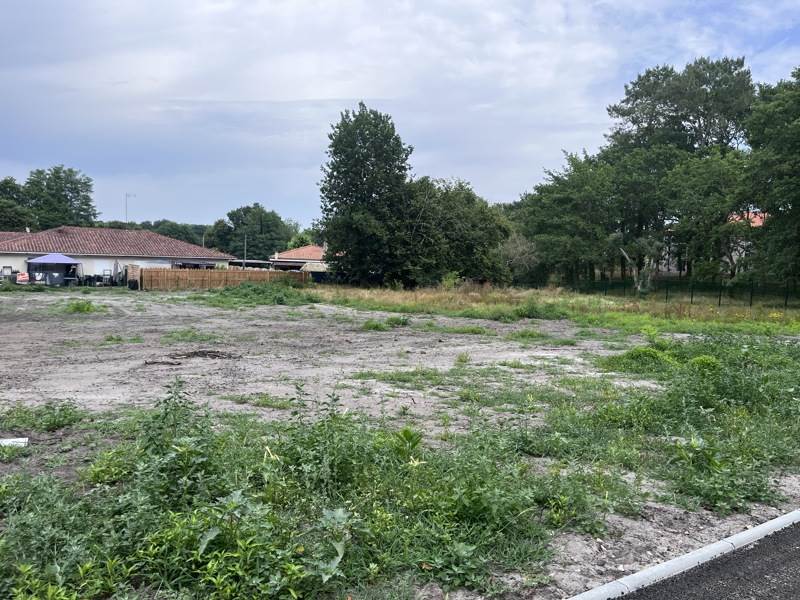 Vente Terrain CASTETS 40260  1302 m²