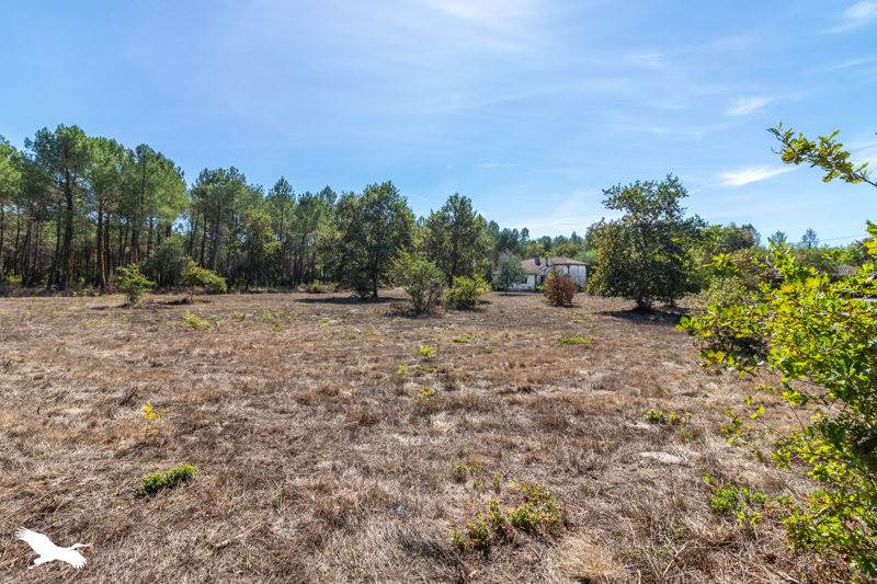 Vente Maison Taller - 5 pièces -98 m² - (40260)