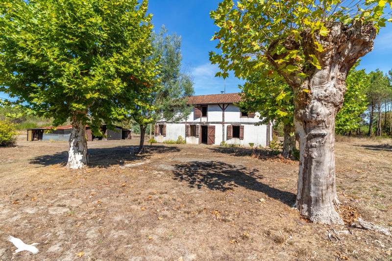Vente Maison Taller 40260 5 pièces - 98 m²