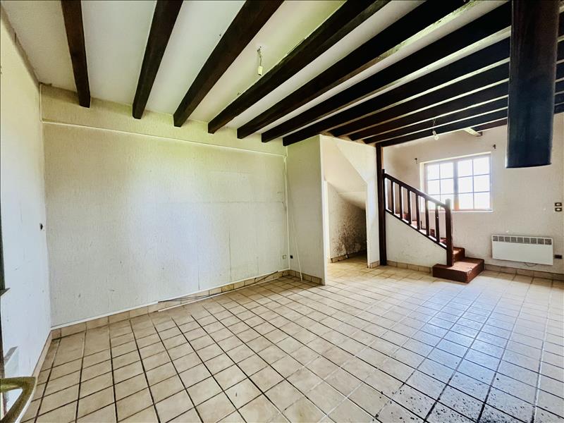 Vente Maison VICQ SUR NAHON - 10 pièces -211 m² - (36600)