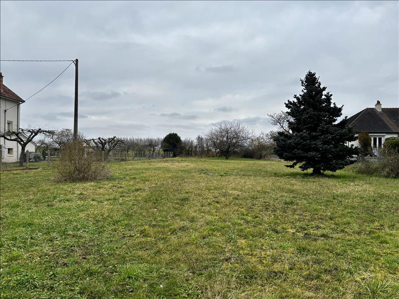 Vente Terrain VALENCAY - -1662 m² - (36600)
