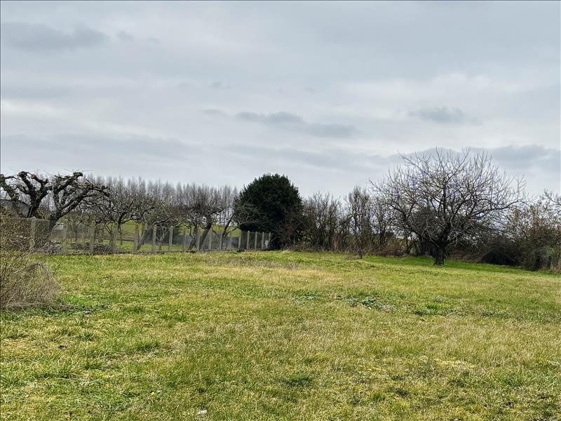 Vente Terrain VALENCAY - -1662 m² - (36600)