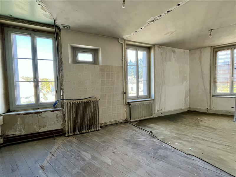 Vente Maison VILLENTROIS FAVEROLLES EN BERRY - 8 pièces -201 m² - (36600)