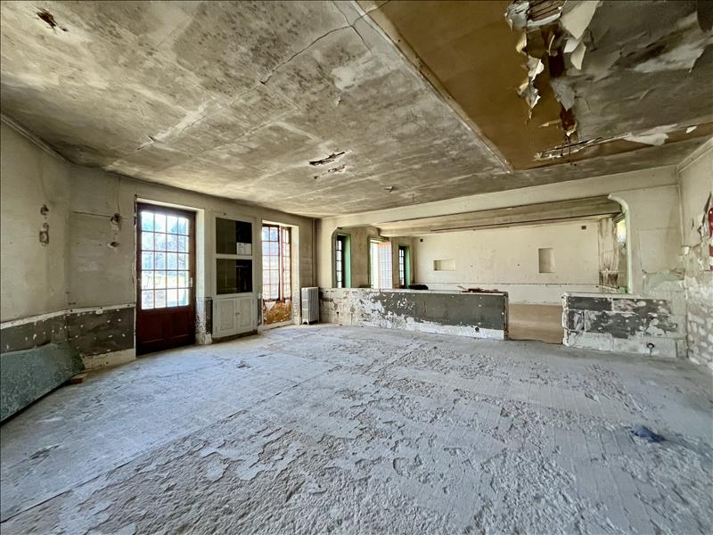 Vente Maison VILLENTROIS FAVEROLLES EN BERRY - 8 pièces -201 m² - (36600)