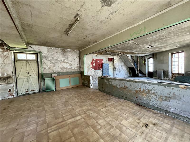 Vente Maison VILLENTROIS FAVEROLLES EN BERRY - 8 pièces -201 m² - (36600)