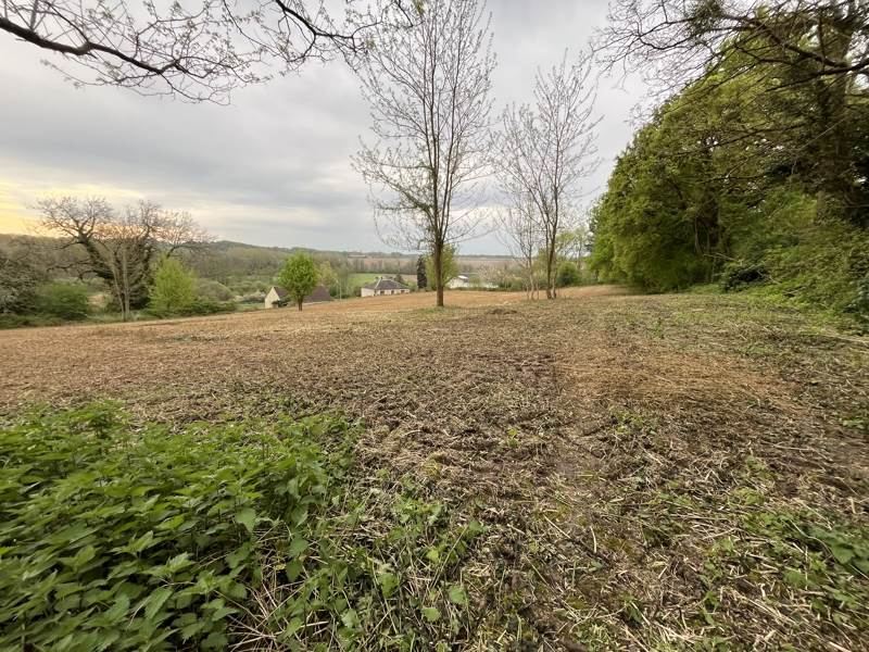 Vente Terrain VICQ SUR NAHON - -5260 m² - (36600)