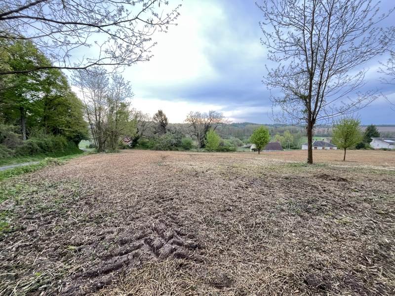 Vente Terrain VICQ SUR NAHON - -5260 m² - (36600)