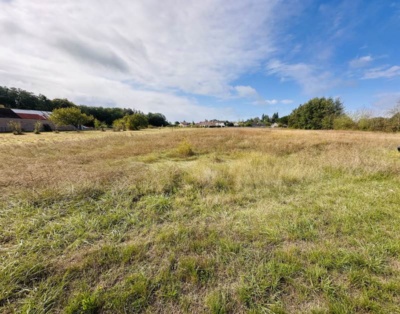 Vente Terrain LE CONTROIS EN SOLOGNE 41120  983 m²