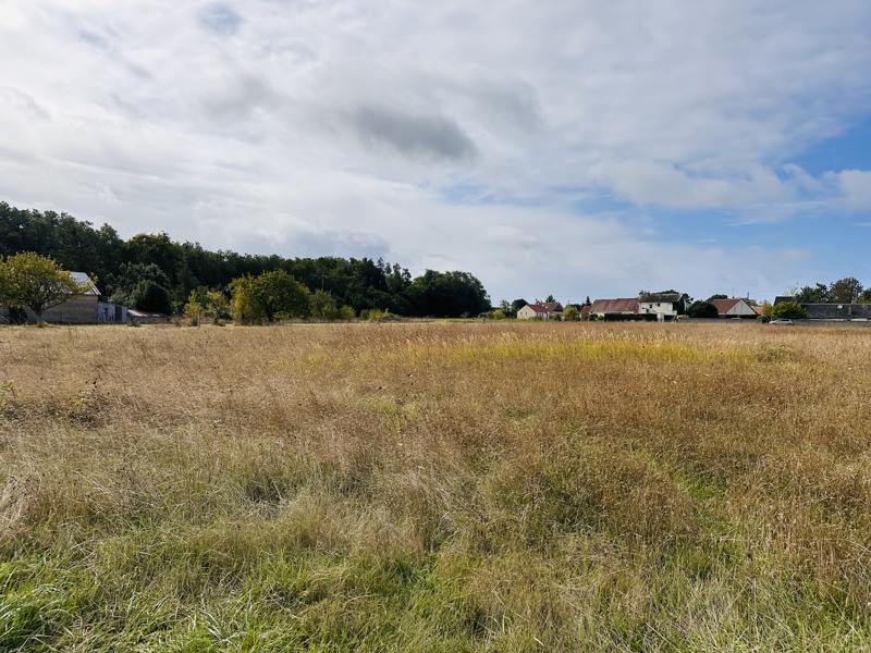 Vente Terrain LE CONTROIS EN SOLOGNE 41120  818 m²