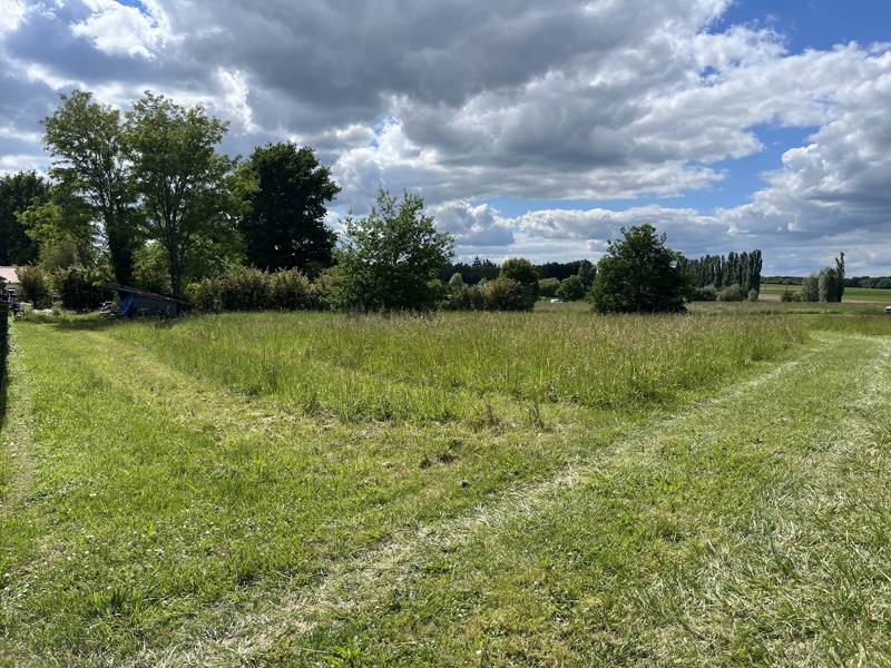 Vente Terrain CHOUSSY 41700  