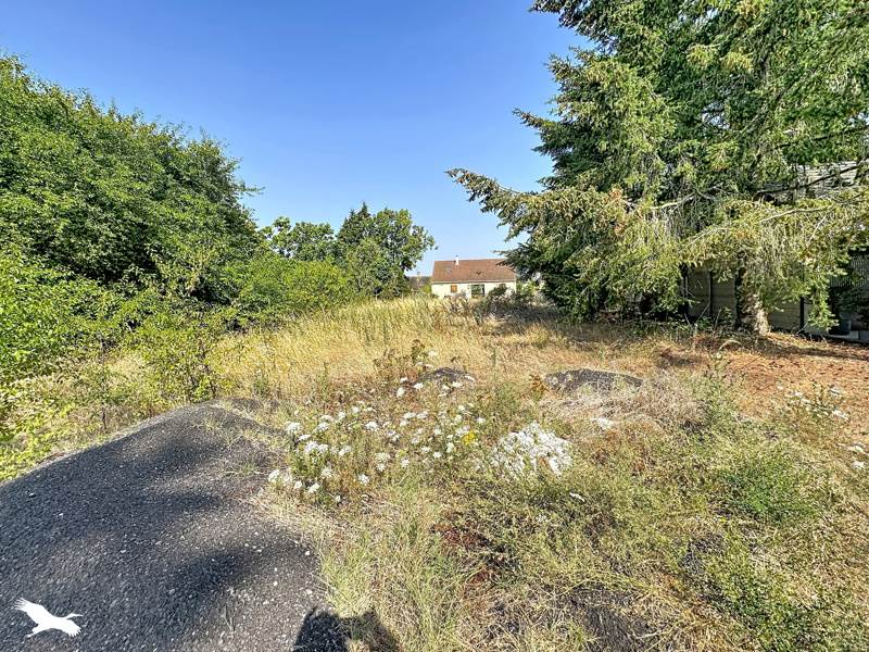 Vente Terrain SOINGS EN SOLOGNE 41230  