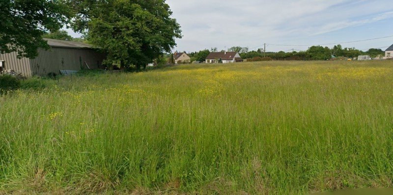 Vente Terrain FONTAINES EN SOLOGNE - -2357 m² - (41250)