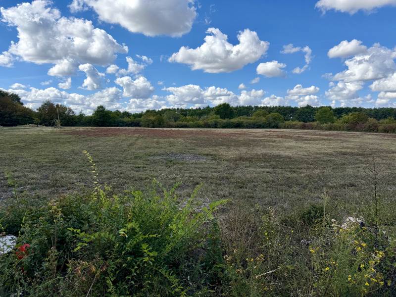 Terrain · à Sassay · 37 500 €