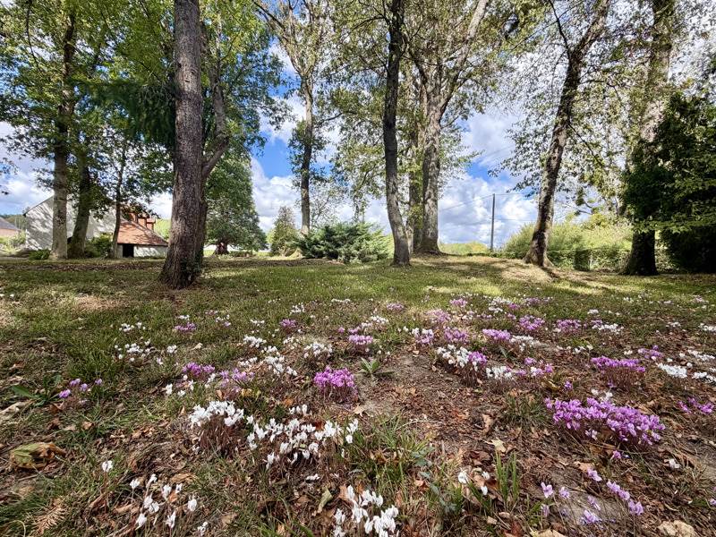Vente Maison OISLY - 5 pièces -164 m² - (41700)