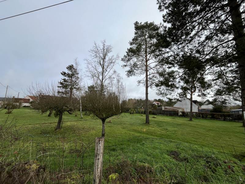 Vente Terrain MONT PRES CHAMBORD - -951 m² - (41250)