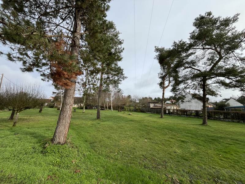 Vente Terrain MONT PRES CHAMBORD - -951 m² - (41250)