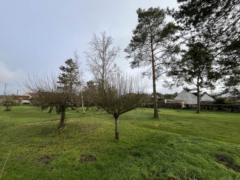 Vente Terrain MONT PRES CHAMBORD - -951 m² - (41250)