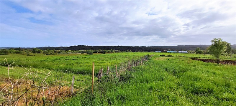 Vente Maison BOSCAMNANT - 7 pièces -162 m² - (17360)