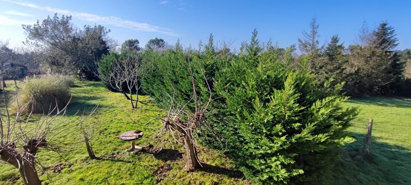 Vente Maison BOSCAMNANT - 6 pièces -121 m² - (17360)