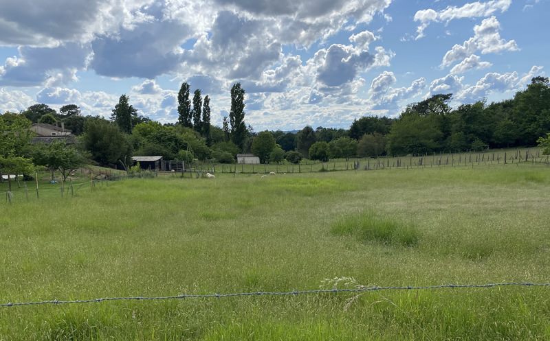 Terrain 3 pièces 1265 m²