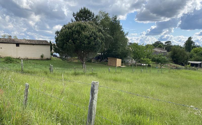 Terrain 5 pièces 2530 m²