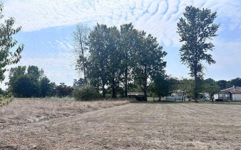 Terrain 4 pièces 1578 m²