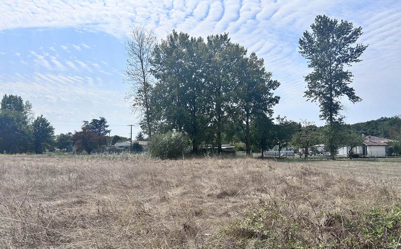 Terrain 4 pièces 1720 m²