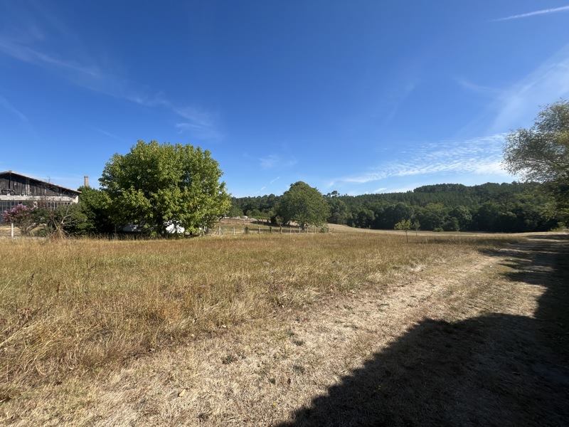 Vente Terrain ST MARTIN DE COUX - -1552 m² - (17360)