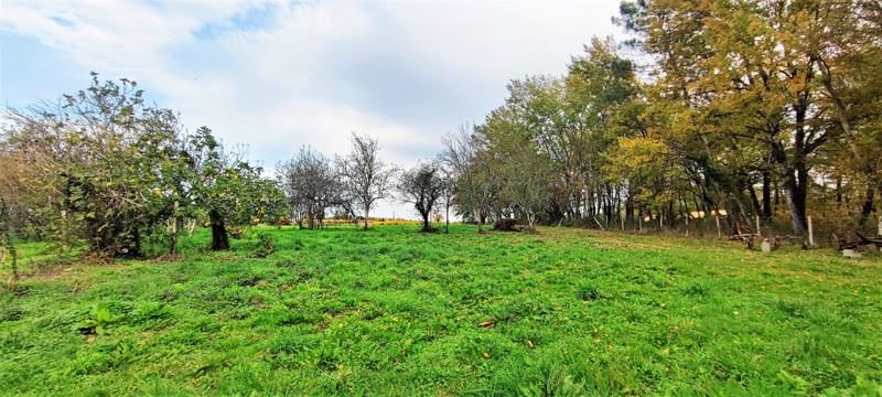 Vente Maison LA BARDE - 3 pièces -125 m² - (17360)