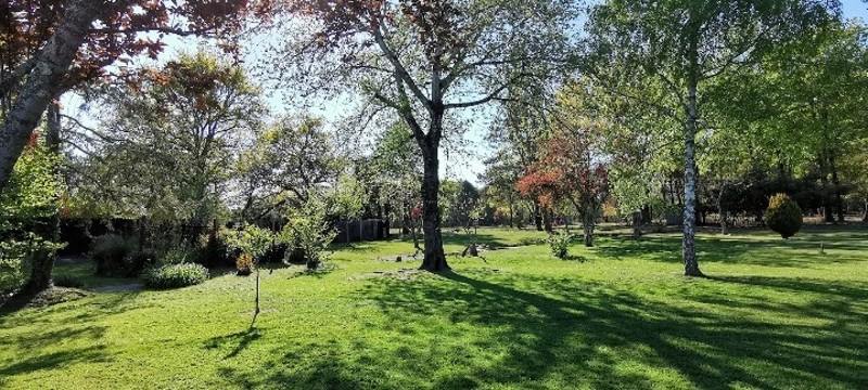 Vente Maison ST AIGULIN - 7 pièces -155 m² - (17360)