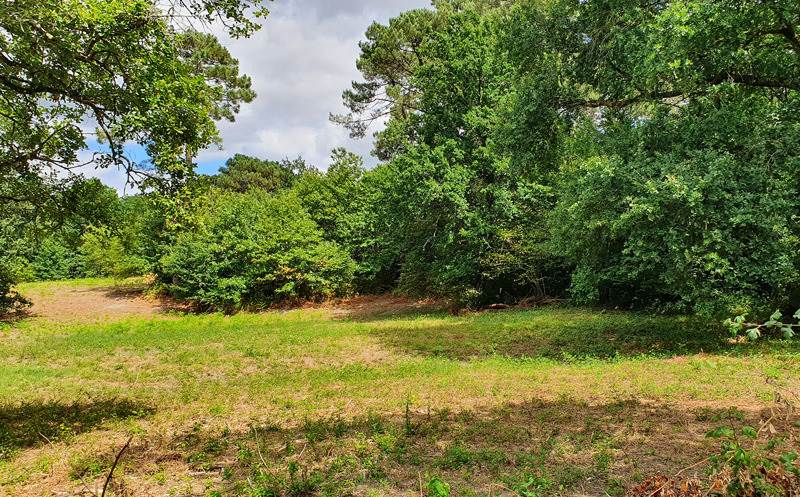 Vente Terrain ST PRIVAT DES PRES - -1650 m² - (24410)