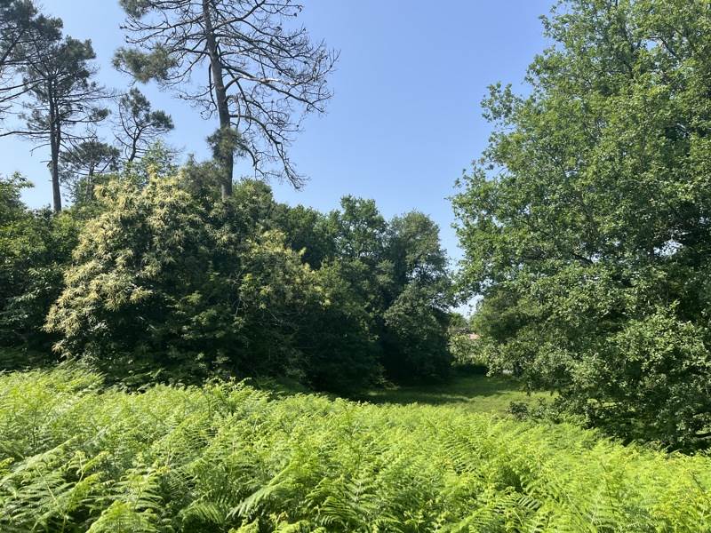 Vente Terrain ST PRIVAT DES PRES - -1650 m² - (24410)