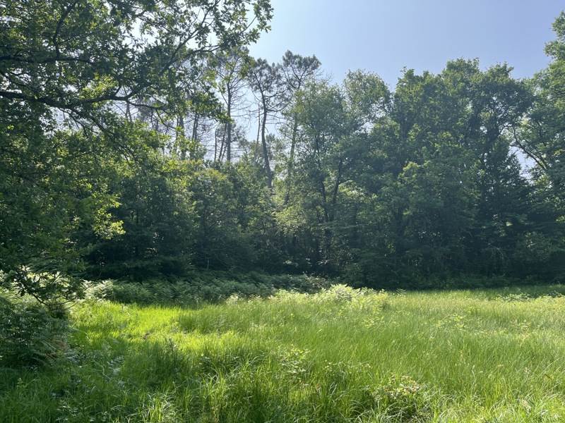 Vente Terrain ST PRIVAT DES PRES - -1650 m² - (24410)