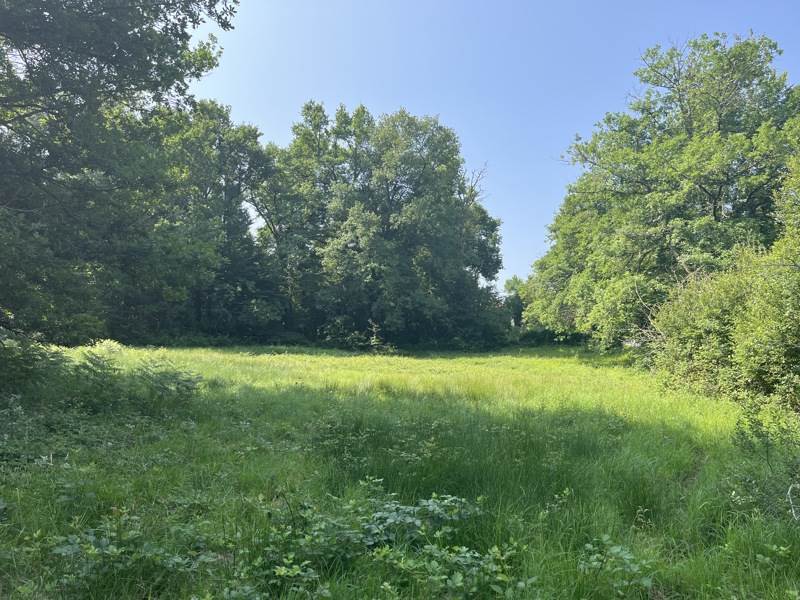 Vente Terrain ST PRIVAT DES PRES - -1650 m² - (24410)