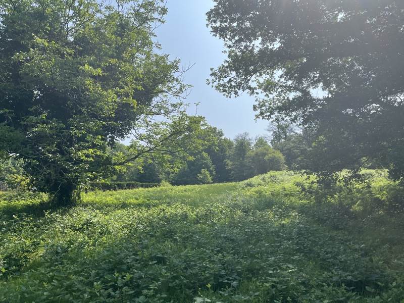 Vente Terrain ST PRIVAT DES PRES - -1650 m² - (24410)